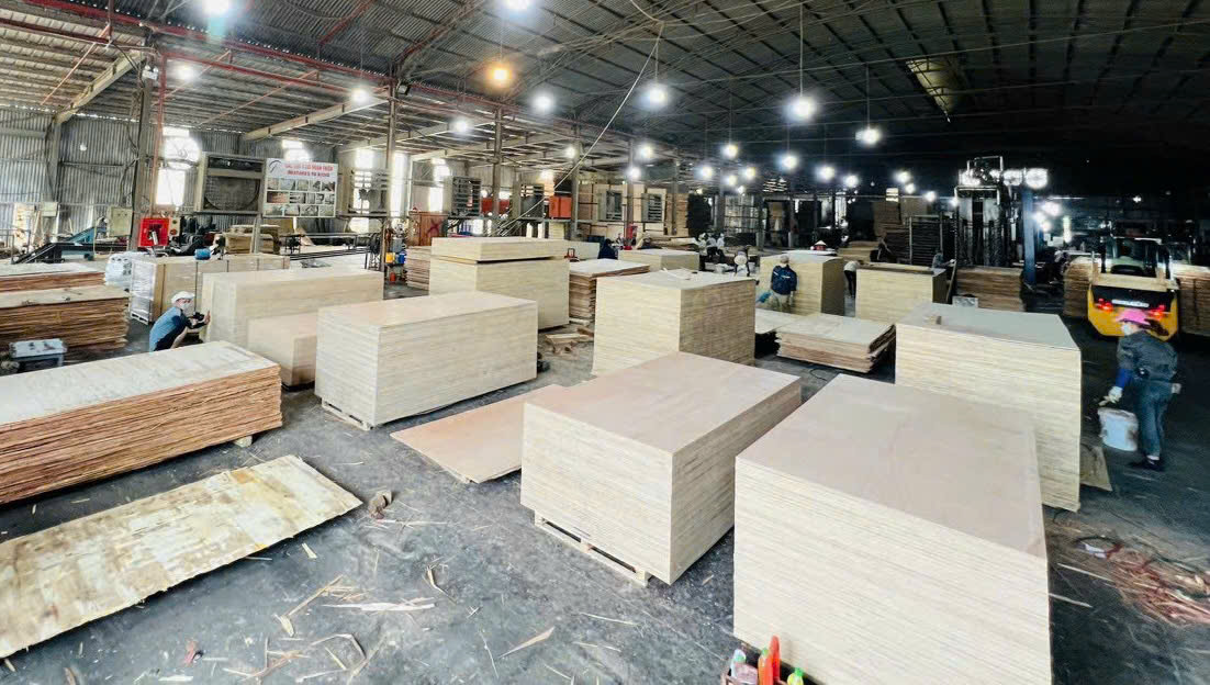 NewSmile plywood factory floor