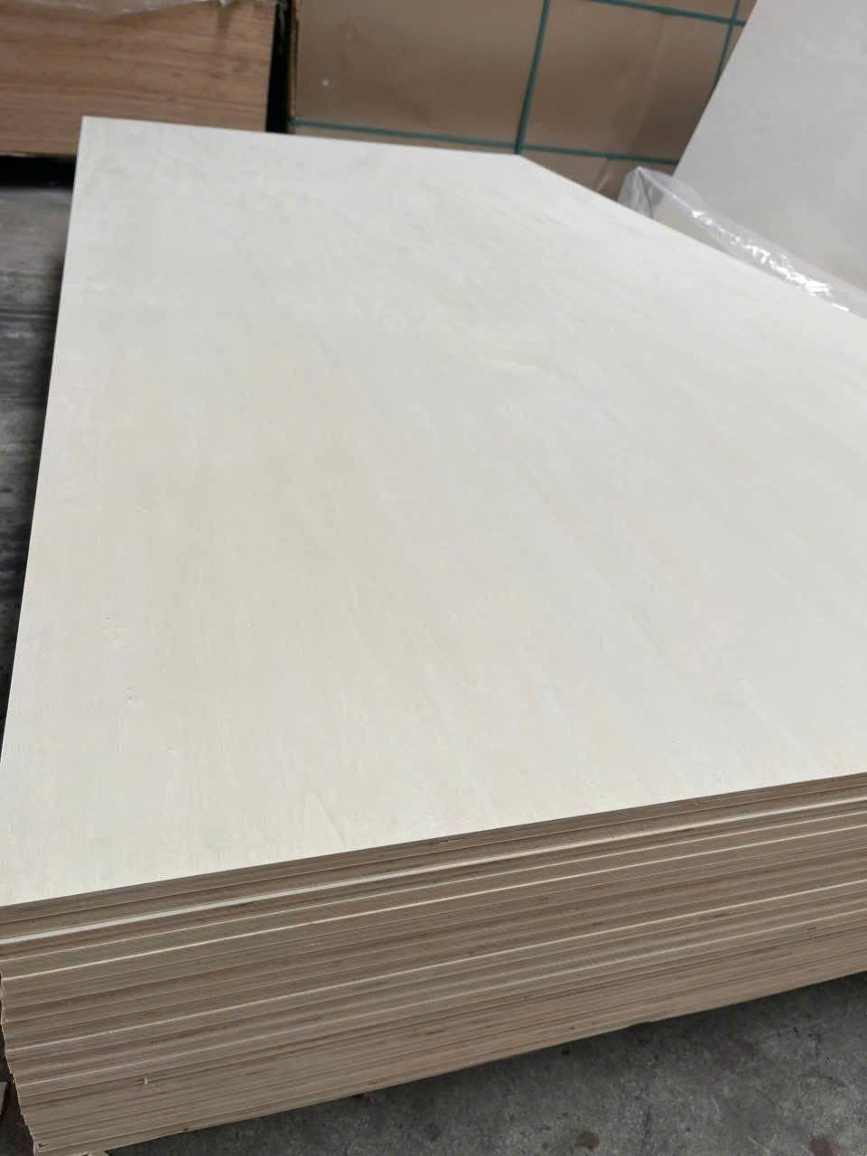 Commercial Plywood