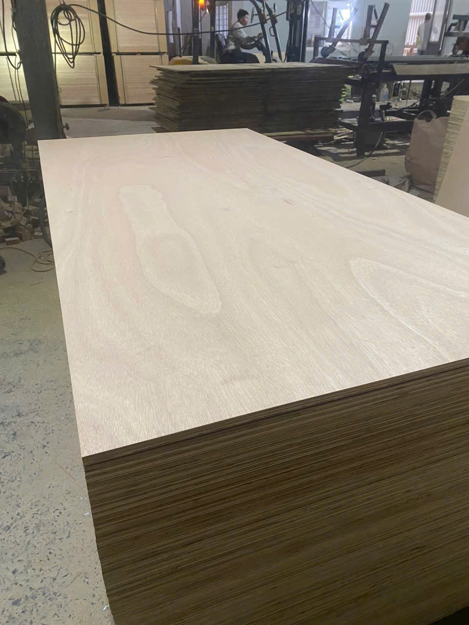 Commercial Plywood photo 3