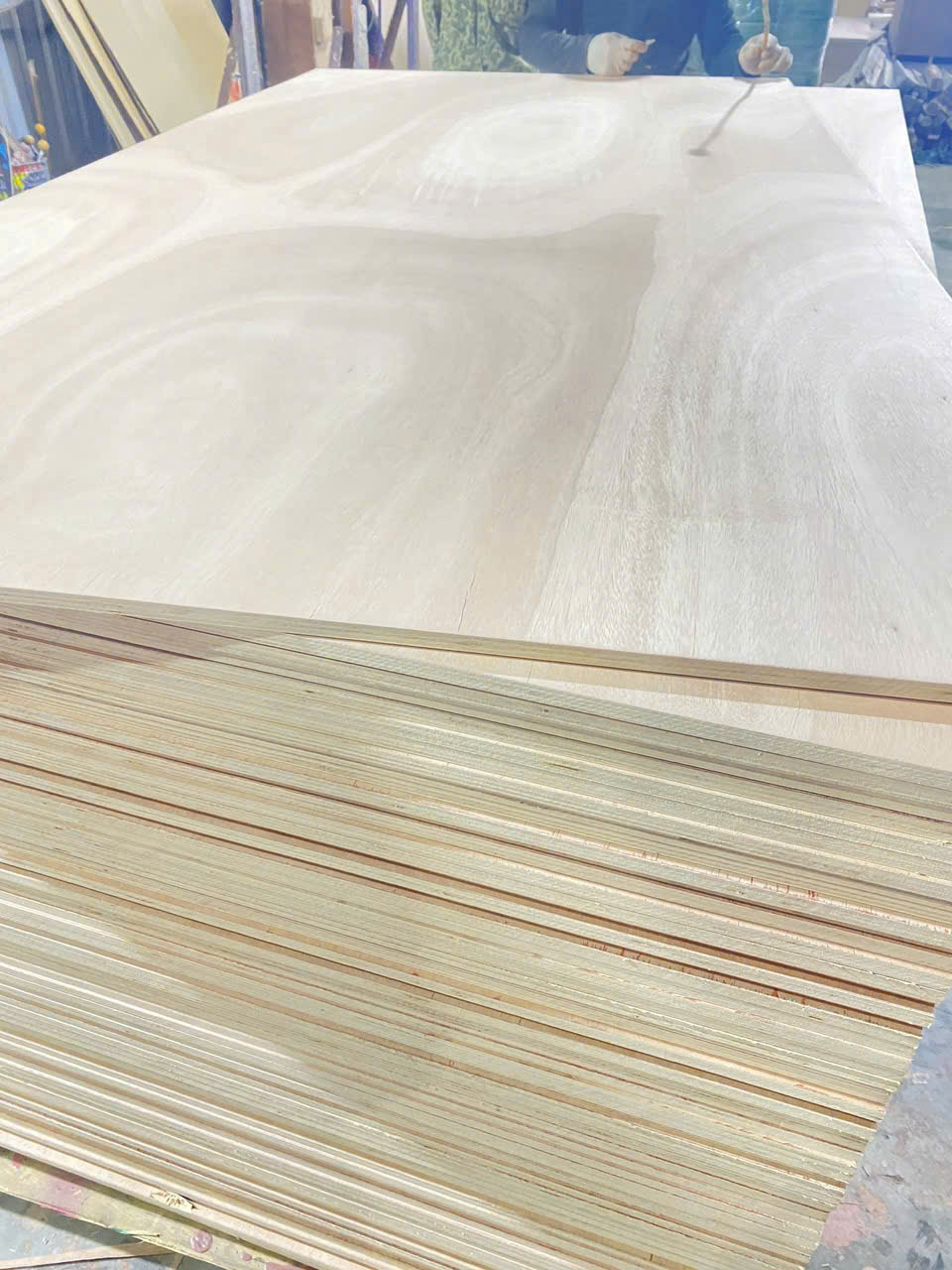 Commercial Plywood photo 4
