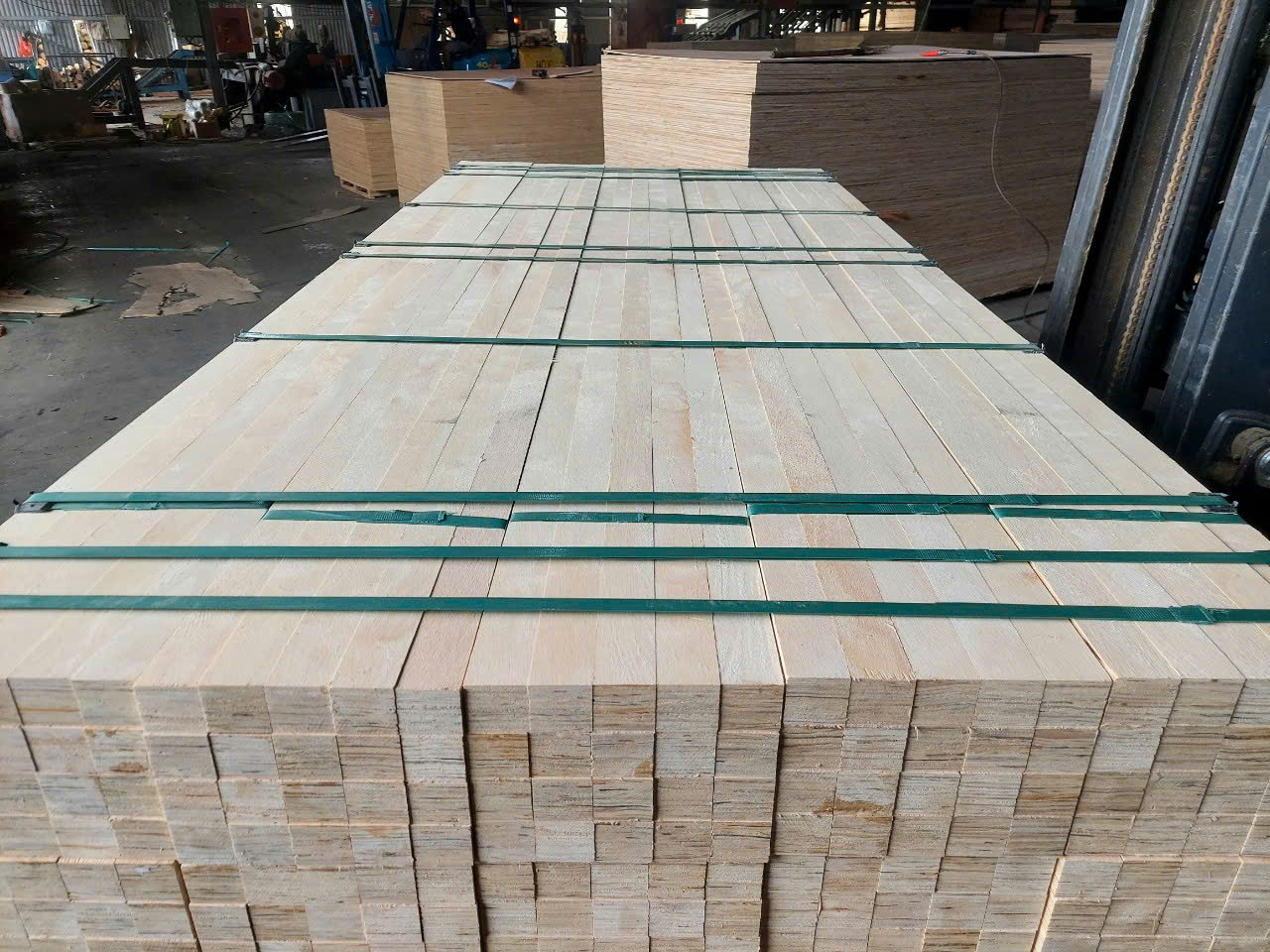 LVL Plywood
